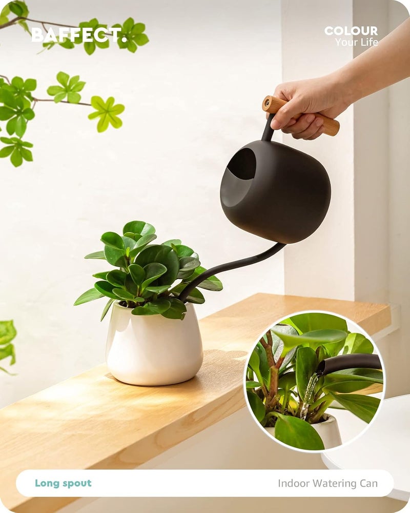 baffect Watering Can Indoor Plants, 1.2L/41OZ Cute Watering Can Pot, Metal Stainless Steel Garden Water Can with Long Spout for Indoor House Plants Bonsai Outdoor Garden Flower Decorative - Image 3